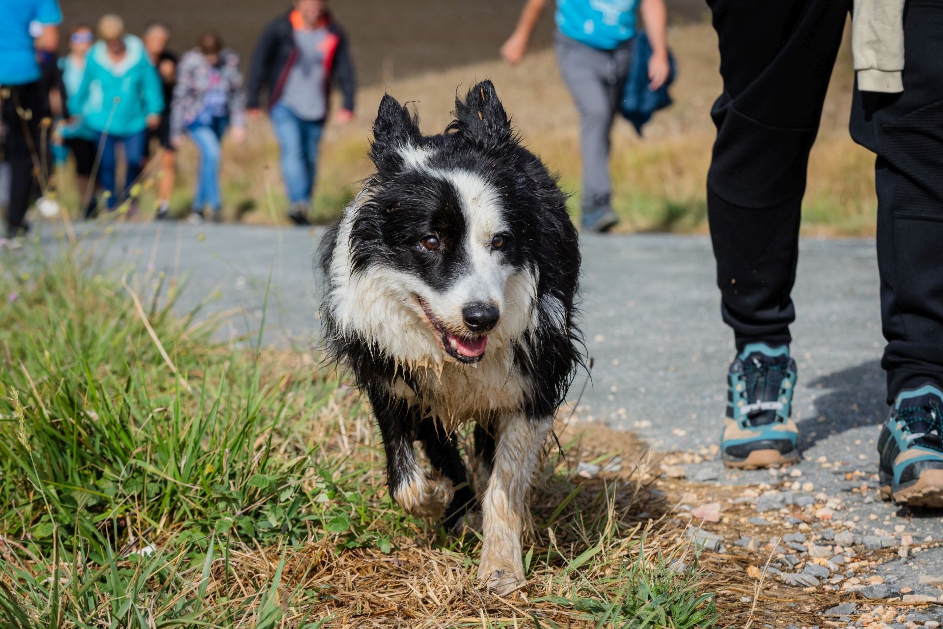 XII Marcha Solidaria Green de EL CORREO