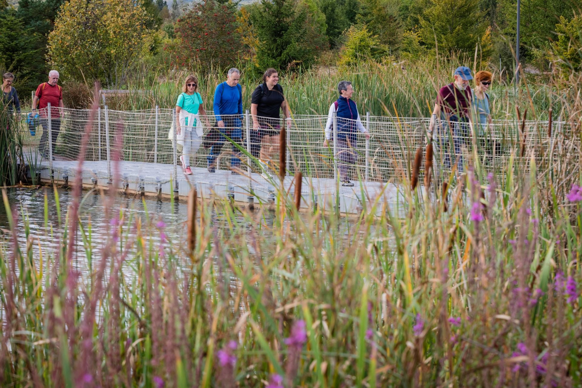 XII Marcha Solidaria Green de EL CORREO