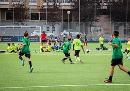 El campo municipal de San Martín es uno de los que ha renovado recientemente el Ayuntamiento de Vitoria.