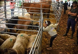 Lo mejor del agro vasco se cita en la Feria Agrícola y Ganadera de Muskiz