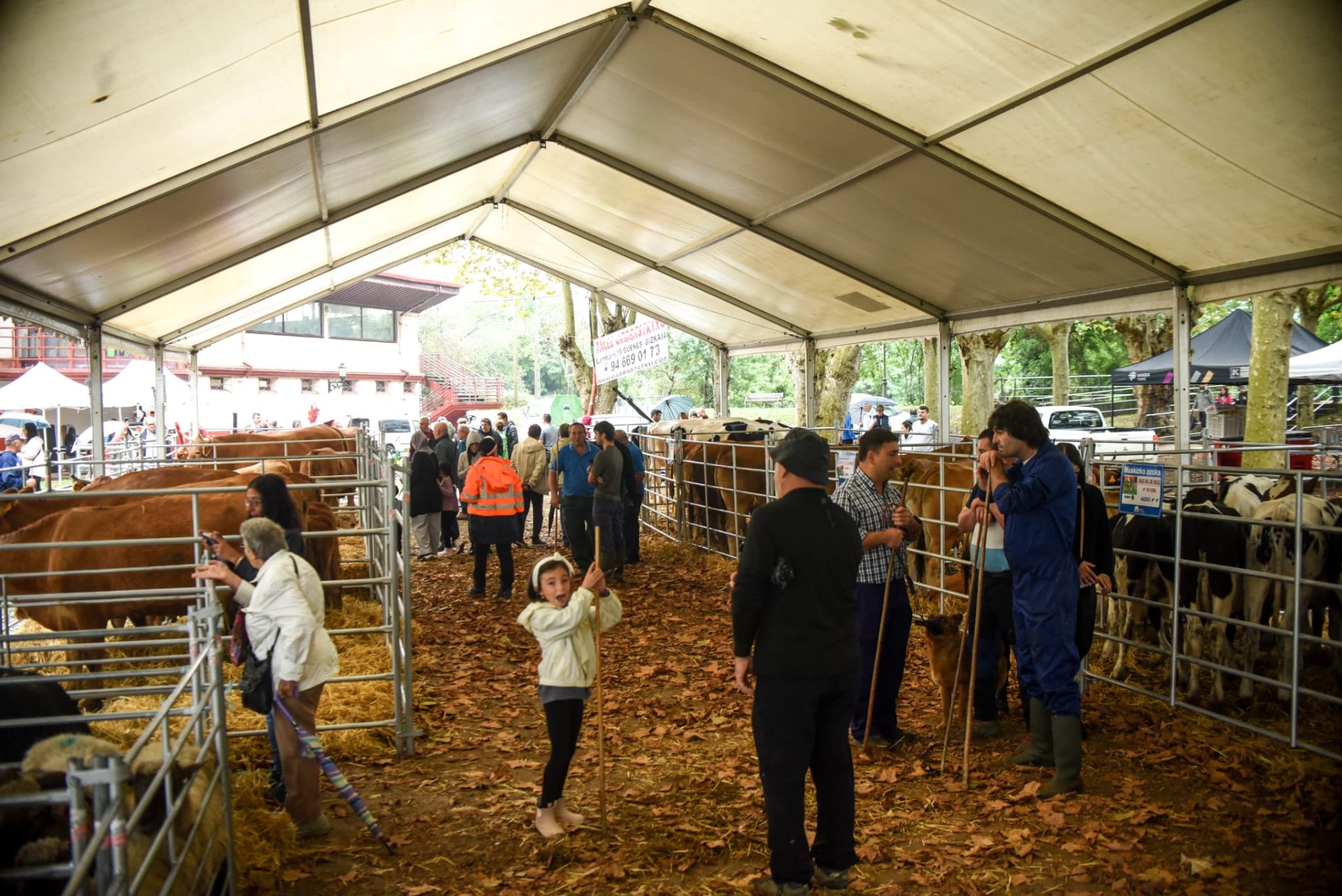 Lo mejor del agro vasco se cita en la Feria Agrícola y Ganadera de Muskiz