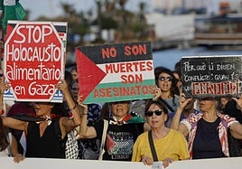 Entidades de apoyo a Palestina celebran una concentración ante la llegada al Puerto de València de un barco con material militar para Israel, según los convocantes de la protesta.
