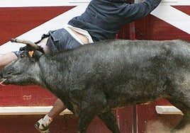 Imagen ajena al suceso producido este domingo en Logroño.