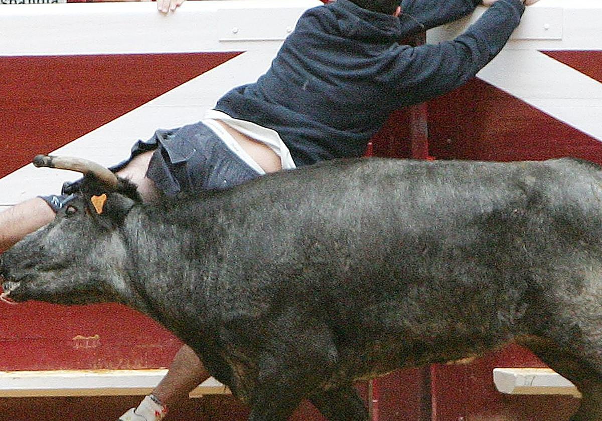 Imagen ajena al suceso producido este domingo en Logroño.