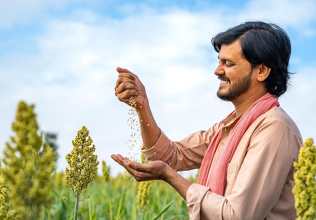 Cuatro superalimentos que te llenan de proteínas, vitaminas, minerales y antiinflamatorios