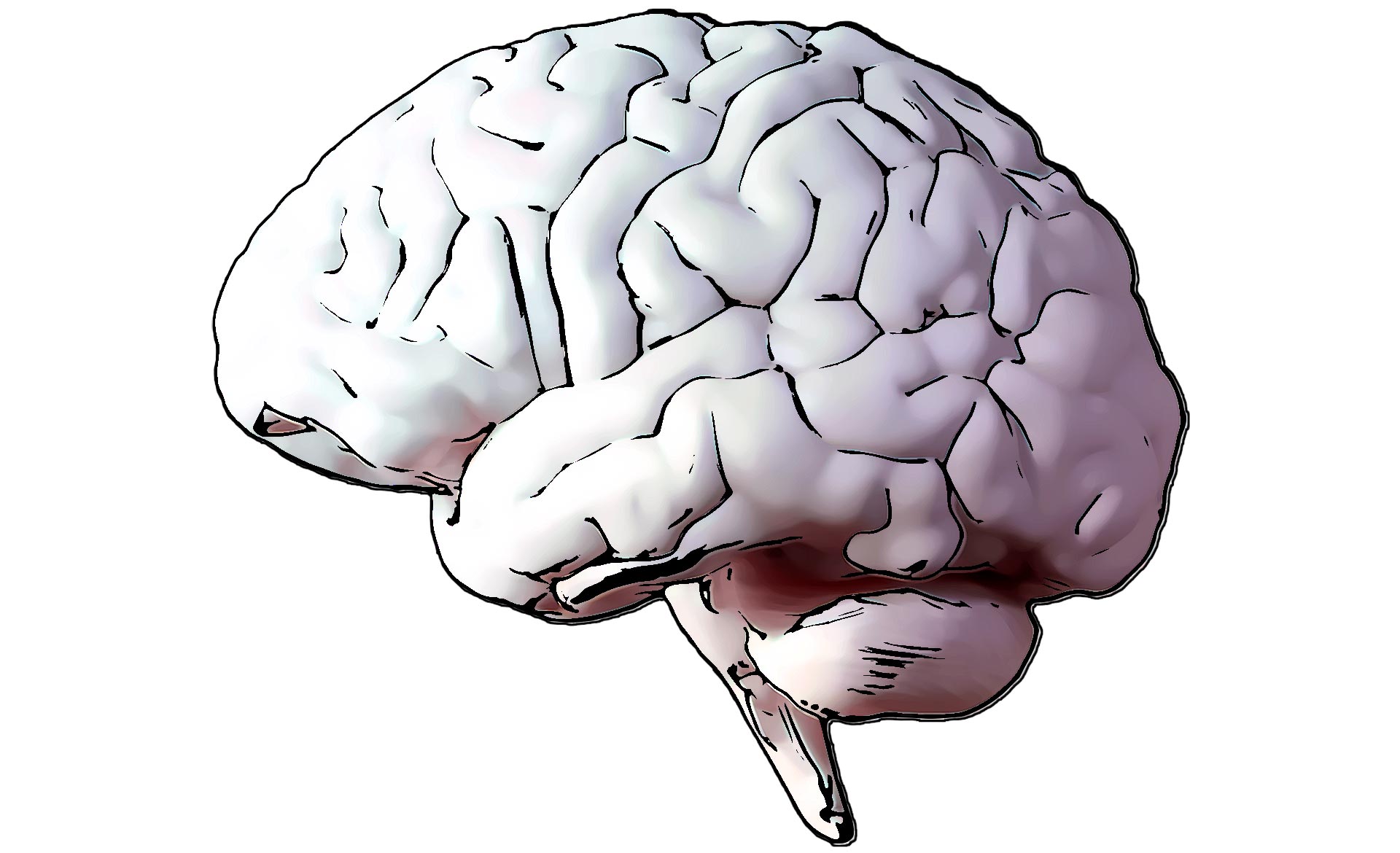 Scroll Story imagen 0