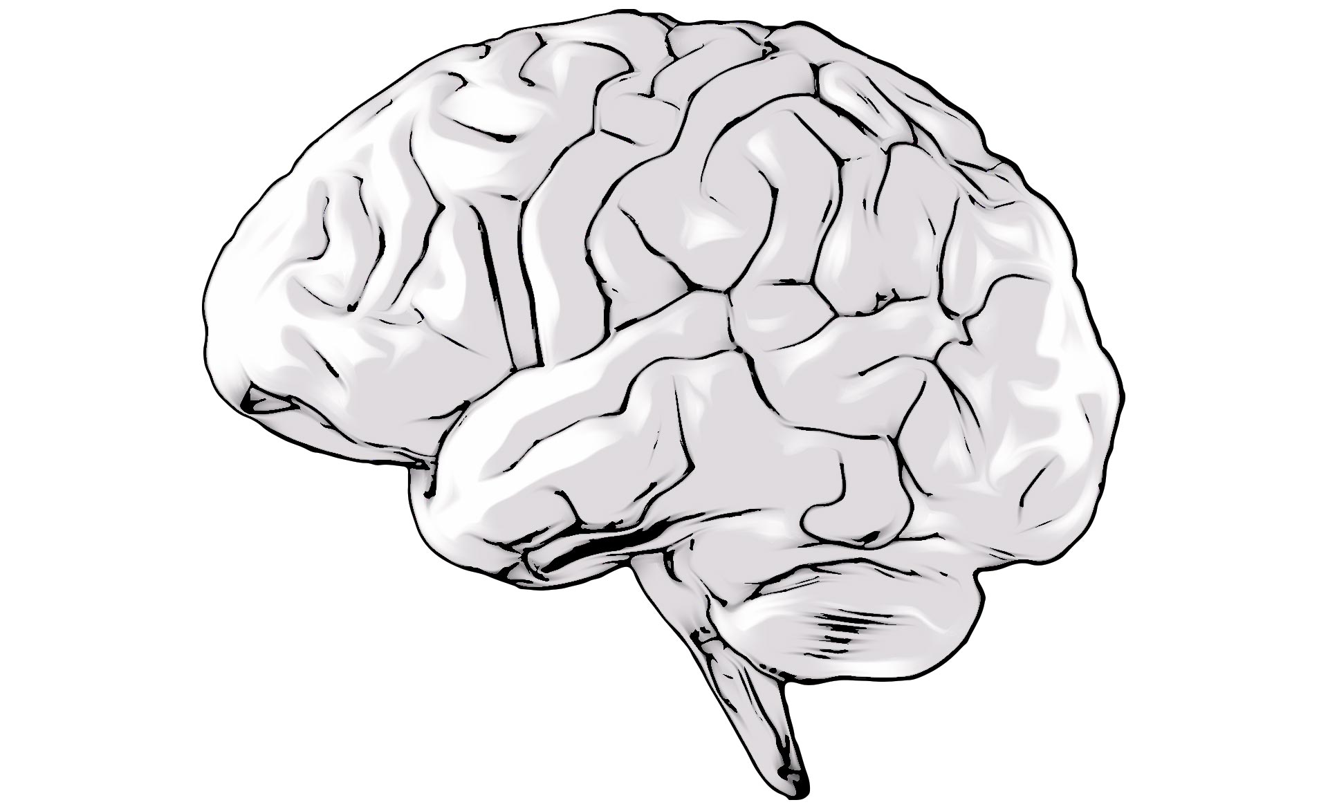 Scroll Story imagen 1