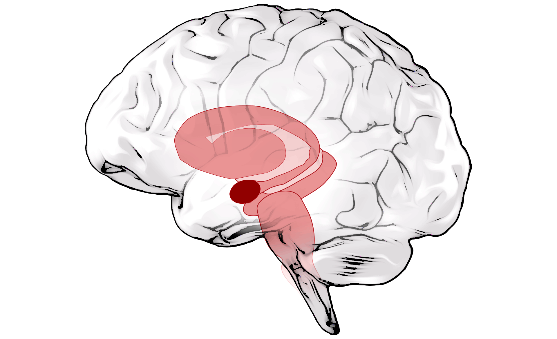 Scroll Story imagen 2