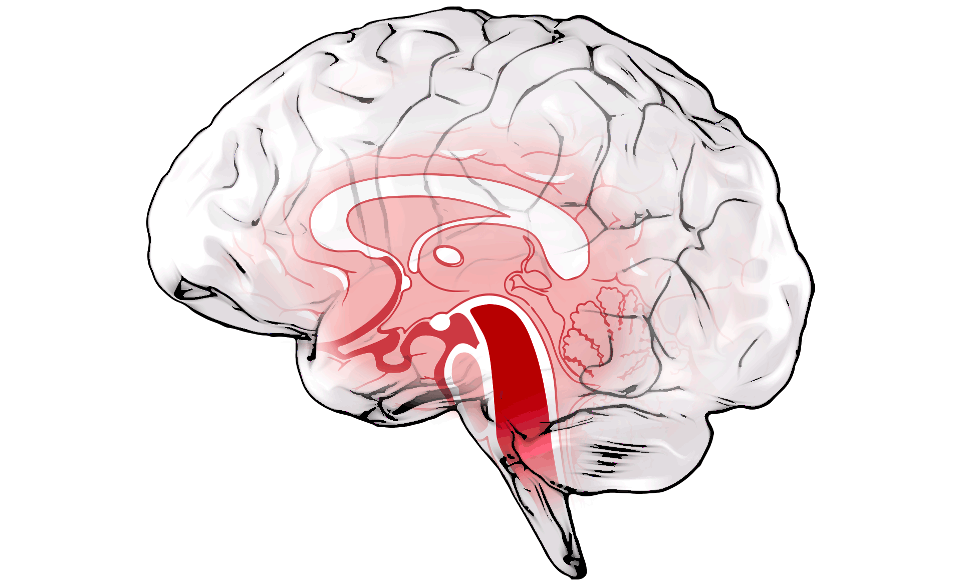 Scroll Story imagen 3