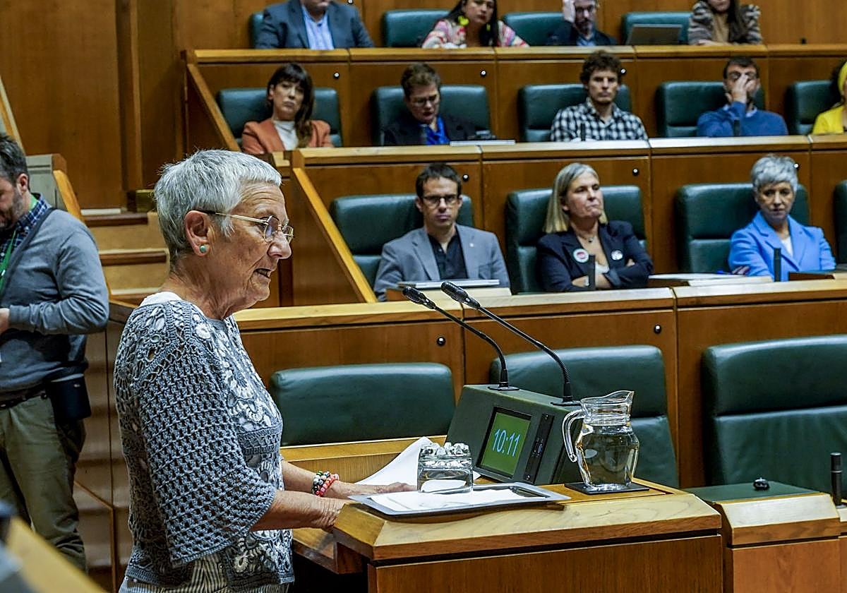 La portavoz del movimiento de pensionistas, Ana Mezo Basaras, en el Parlamento vasco.