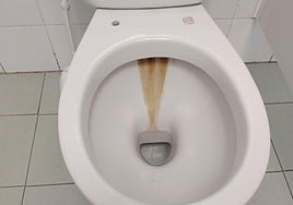 Los inodoros siguen sin tapa y con grandes manchas de cal.