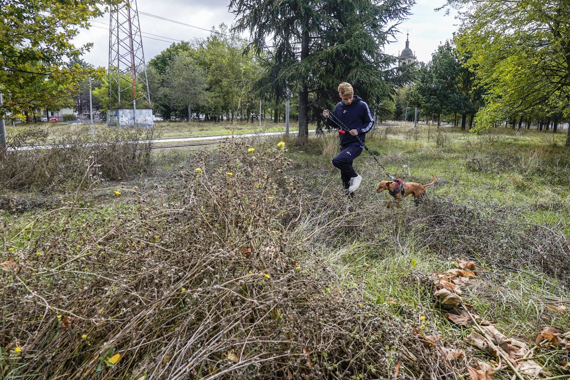 La huelga de jardineros de Vitoria alcanza el medio año con la solución del conflicto «aún lejana»