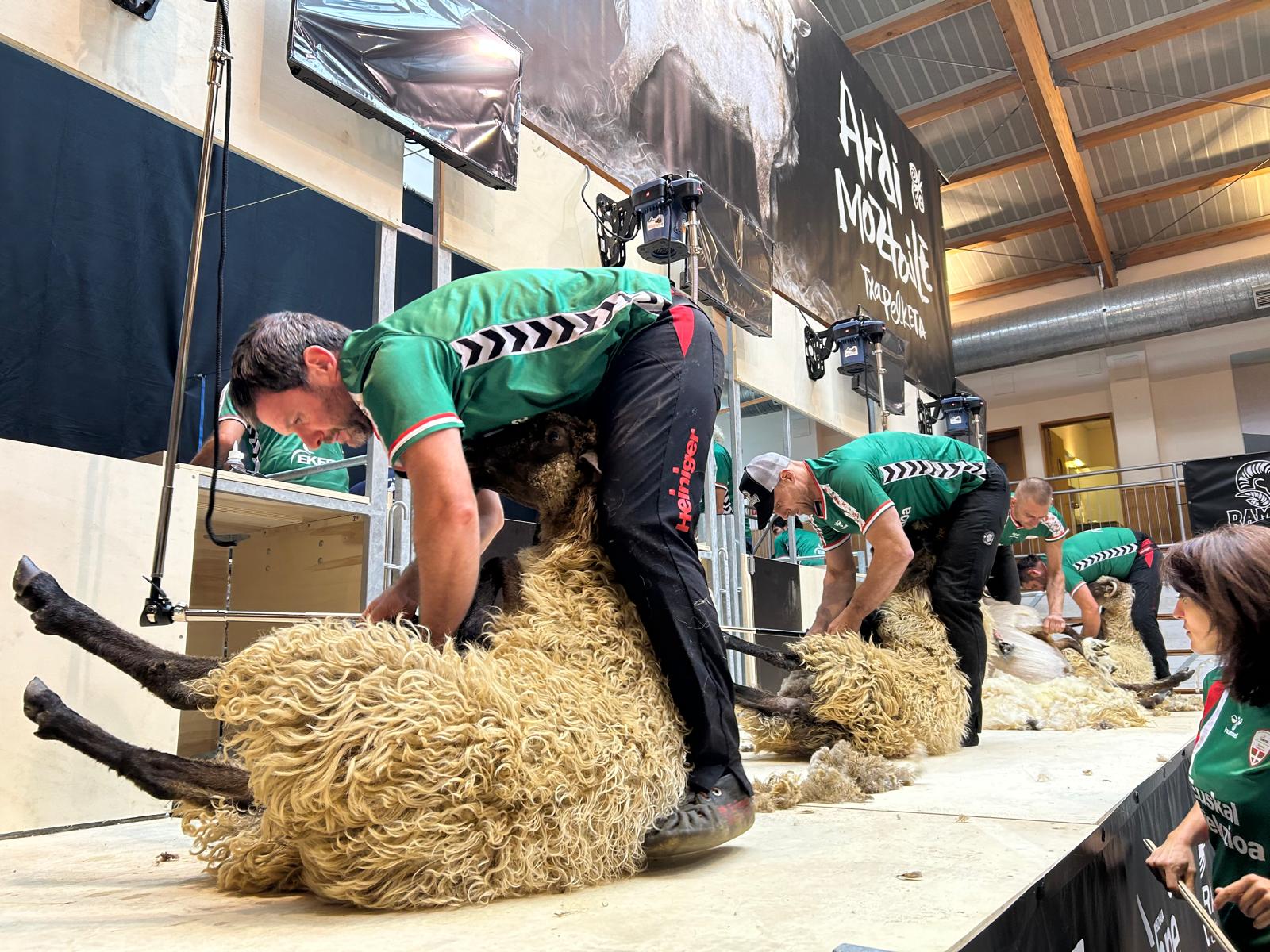 Exhibición de esquiladores en Abadiño