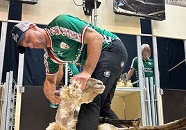 Exhibición de esquiladores en Abadiño