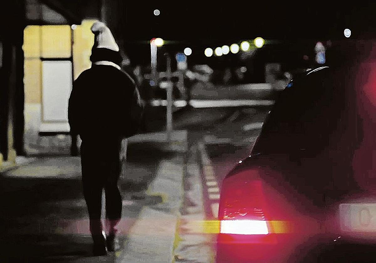 Reconstrucción del caso de Virginia Acebes.