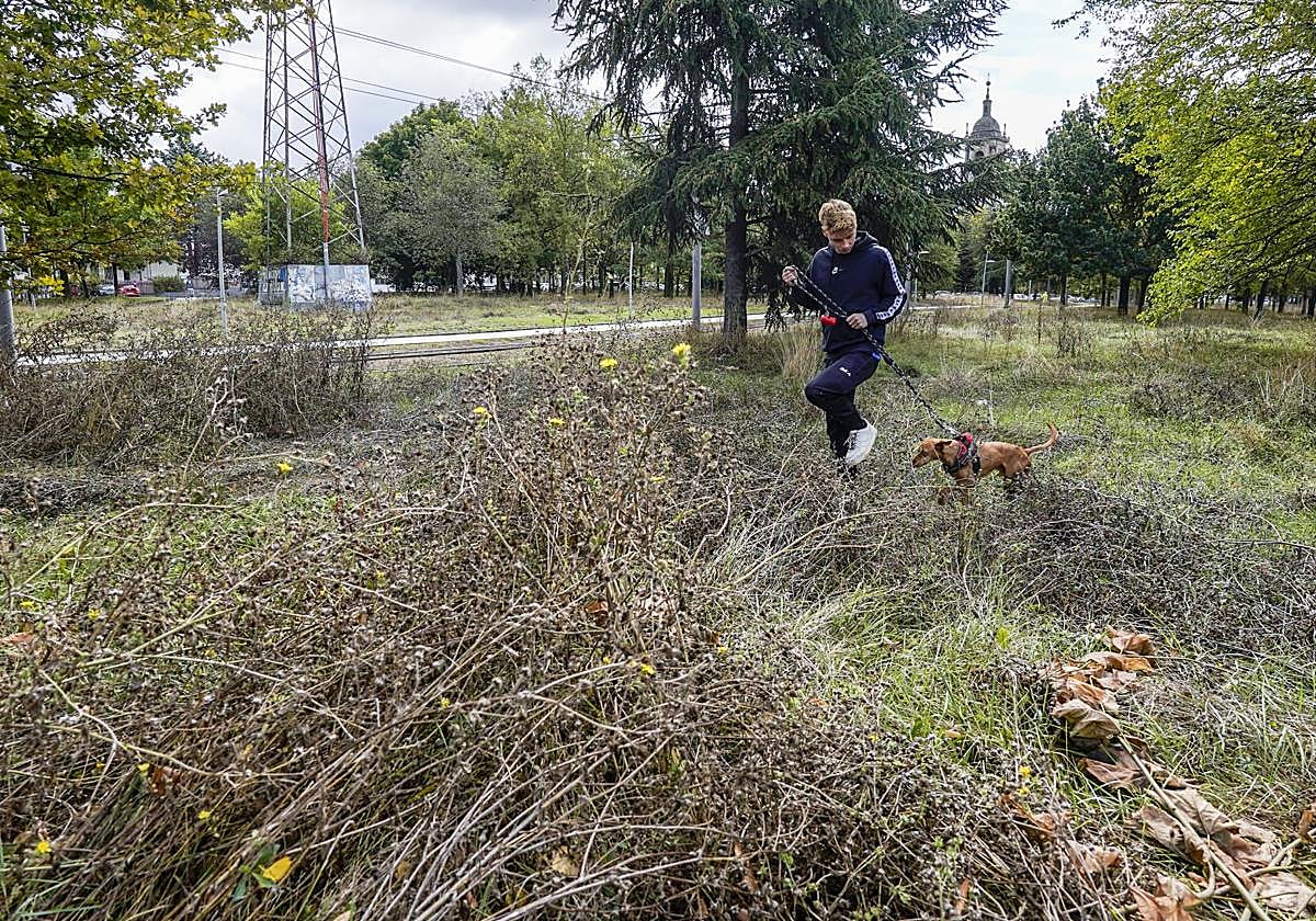 La huelga de jardineros de Vitoria alcanza el medio año con la solución del conflicto «aún lejana»