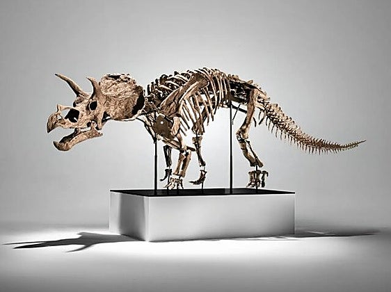 La casa de subastas Phillips apuesta por fósiles de dinosaurios
