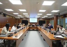 Un momento de la Comisión de Salud en el Parlamento vasco.