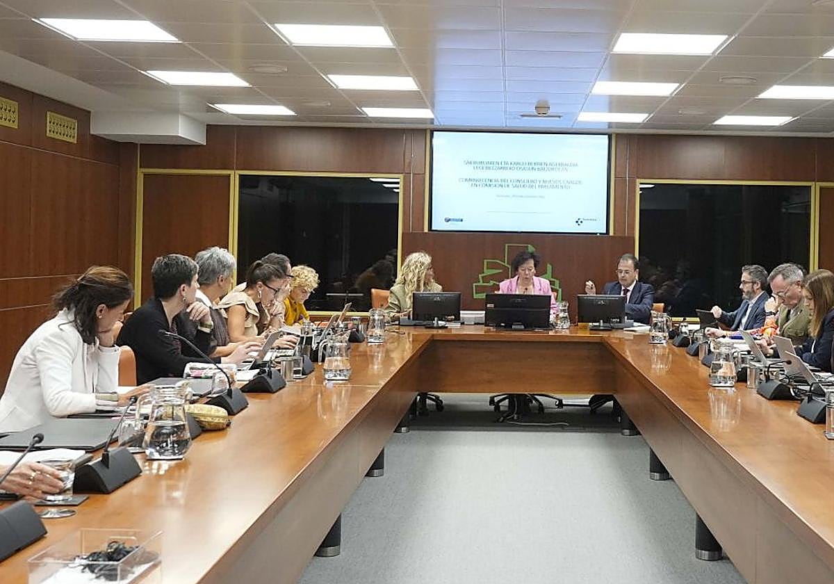 Un momento de la Comisión de Salud en el Parlamento vasco.