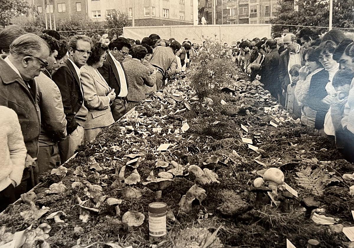 Imagen principal - Su carácter divulgativo lo han mantenido a lo largo de estos 50 años.