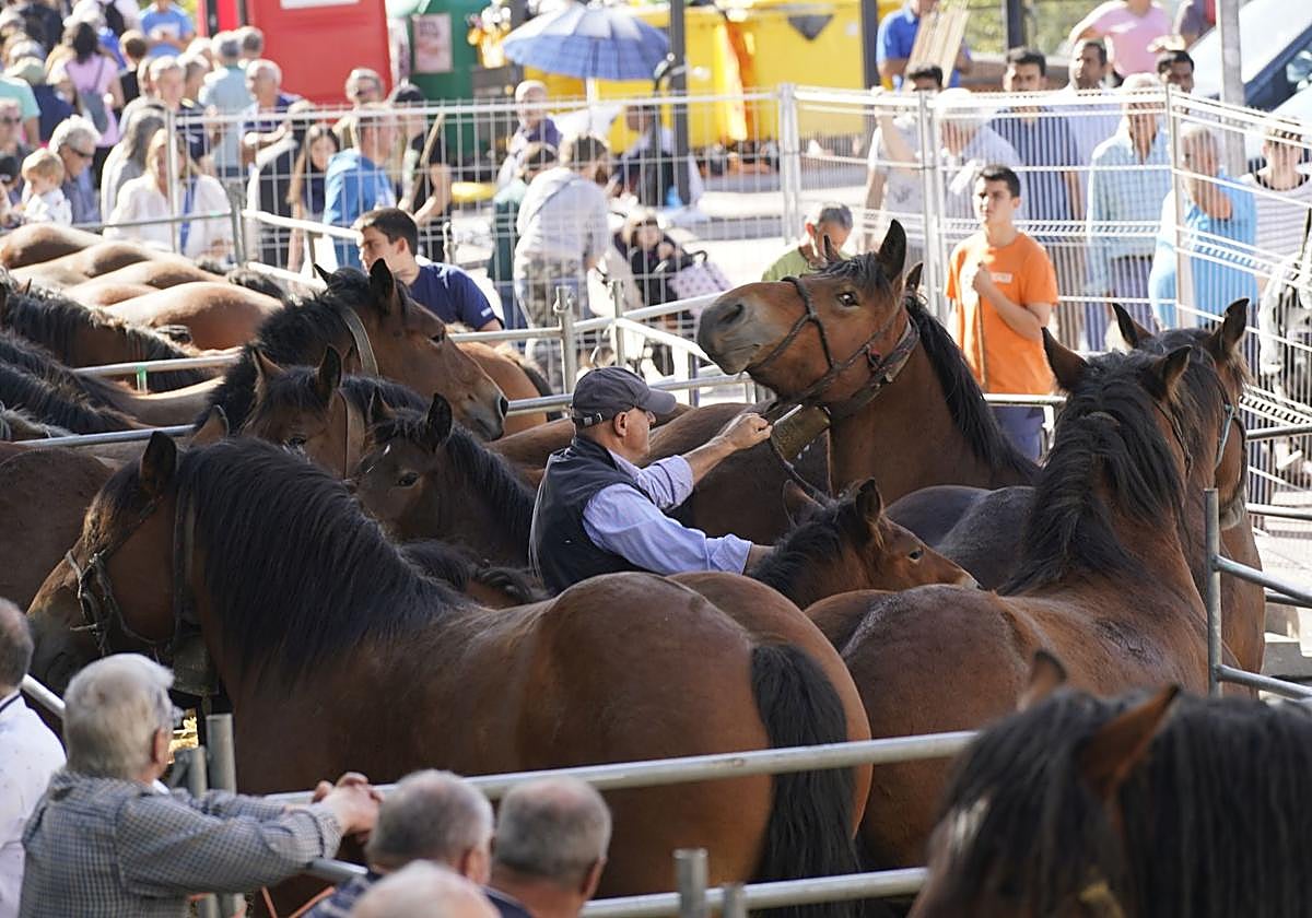 La feria tendrá «más caballos».