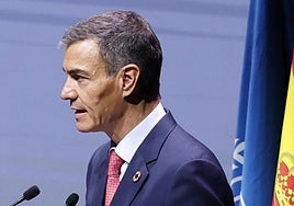 El presidente del Gobierno, Pedro Sánchez.