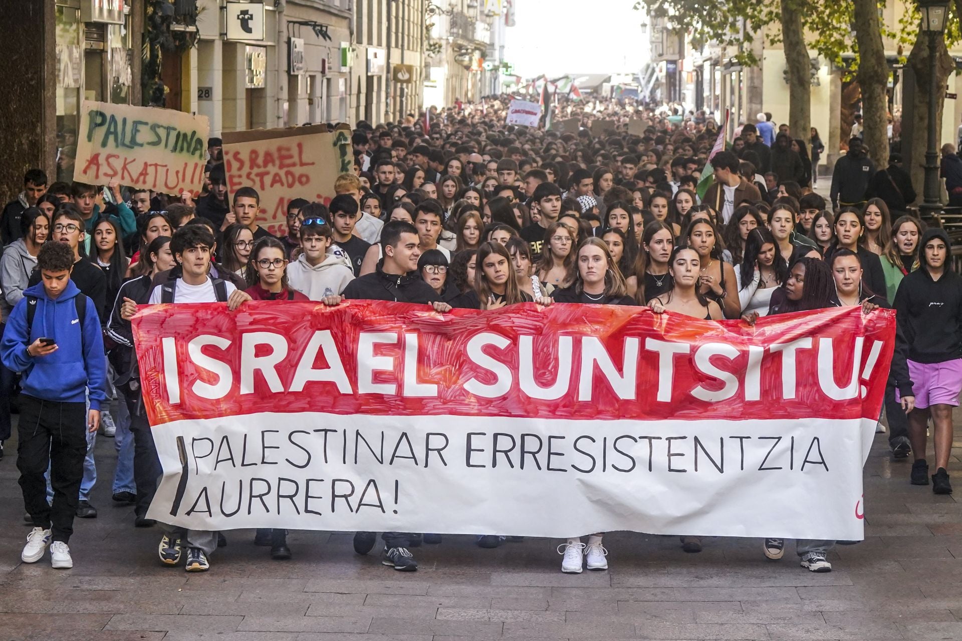 Las imágenes de las protestas propalestina en Vitoria