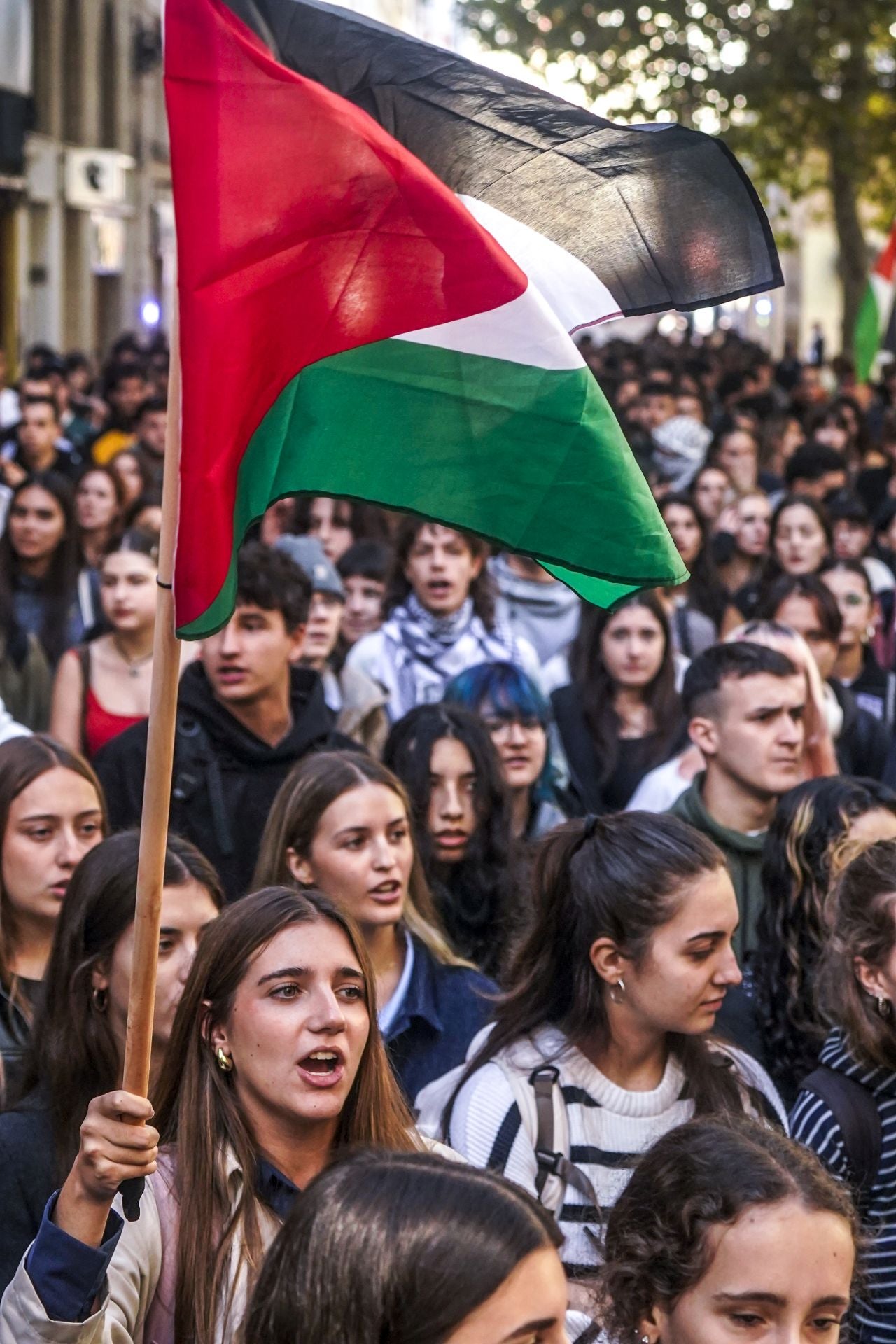 Las imágenes de las protestas propalestina en Vitoria