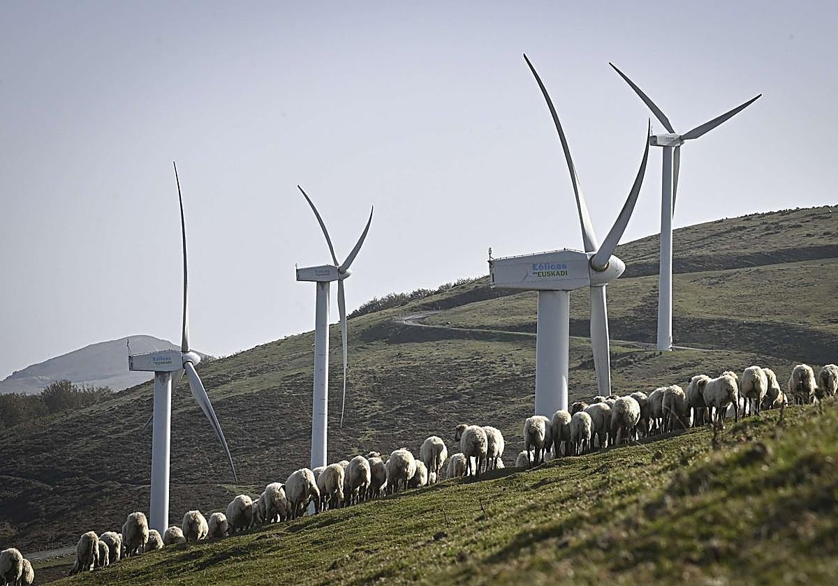 Los molinos se instalarán en Elburgo y Vitoria