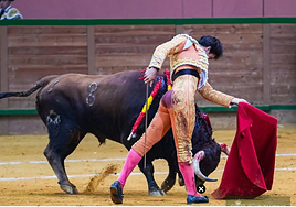 Cristiano Torres, durante la faena.