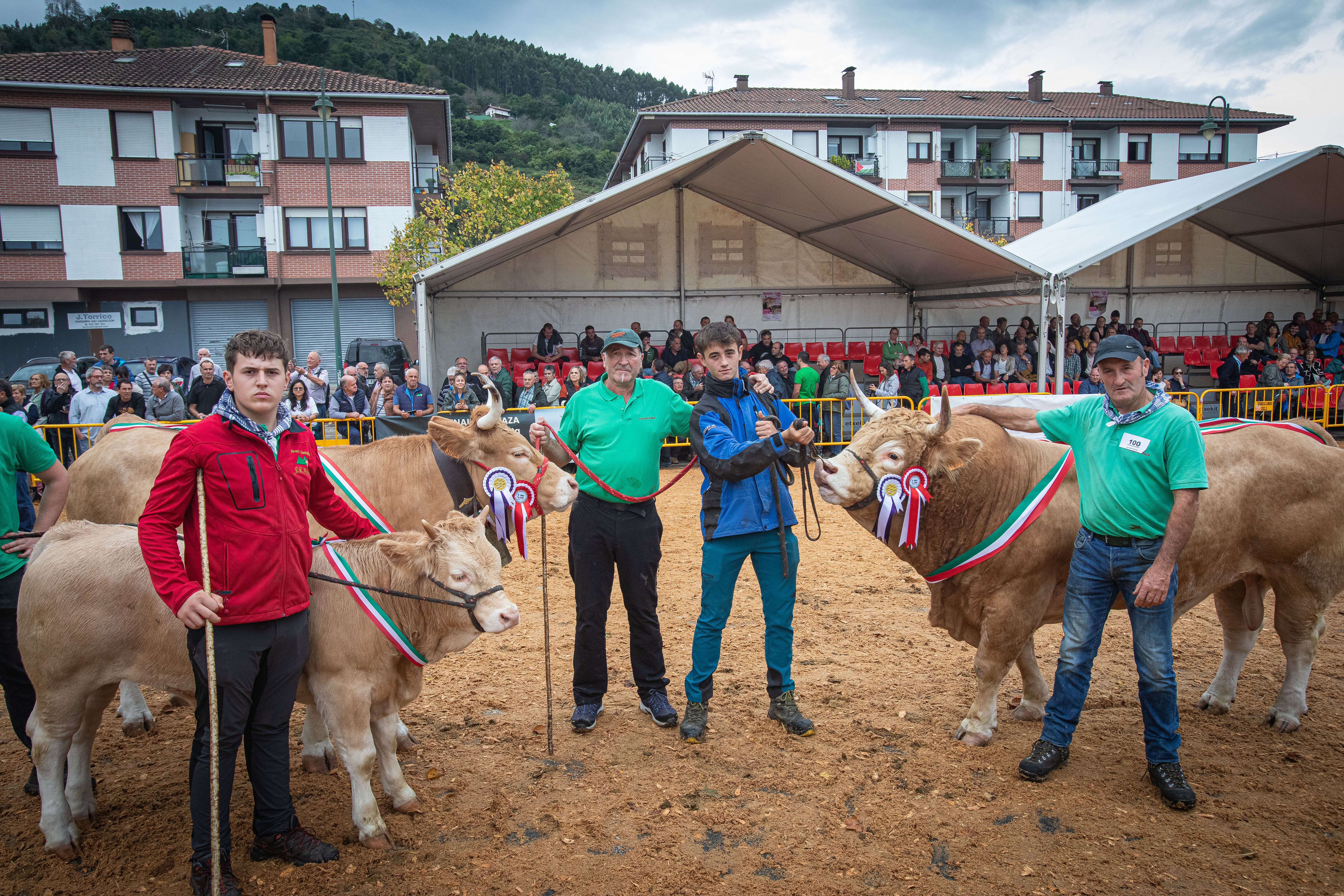 La familia de Jon Koldo Bikandi muestra el lote de animales que les valió el premio a la Mejor Ganadería de pirenaica del año pasado.