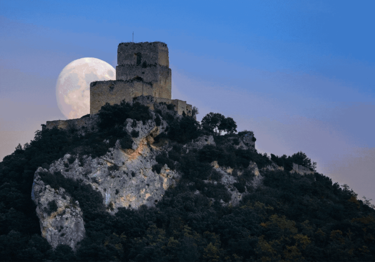 La herencia y el pasado alavés en varias visitas