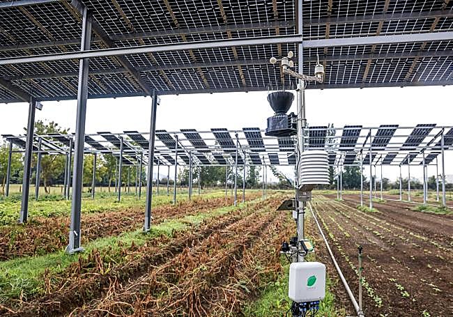 Una de las nueve estaciones meteorológicas colocadas bajo las placas.