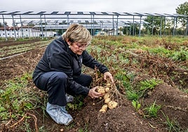 La investigadora Amaia Ortiz, en la finca donde se ubica el proyecto en Arkaute.