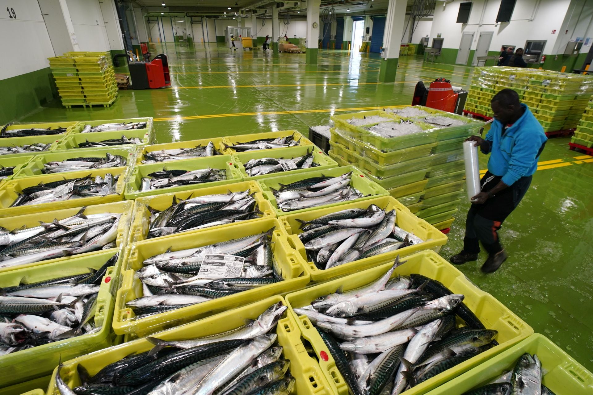 Un operario prepara las cajas de verdel descargadas en la lonja de Ondarroa.