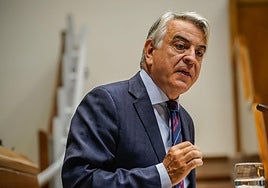Javier de Andres, durante una intervención en el Parlamento.