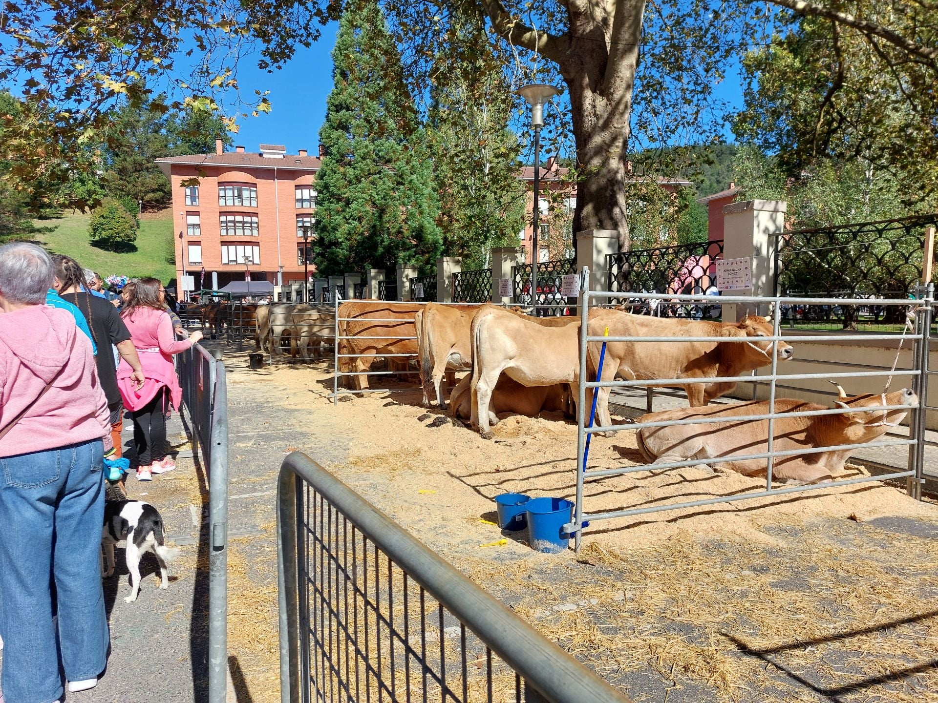 El Día de Gangas 2025 de Zalla en imágenes