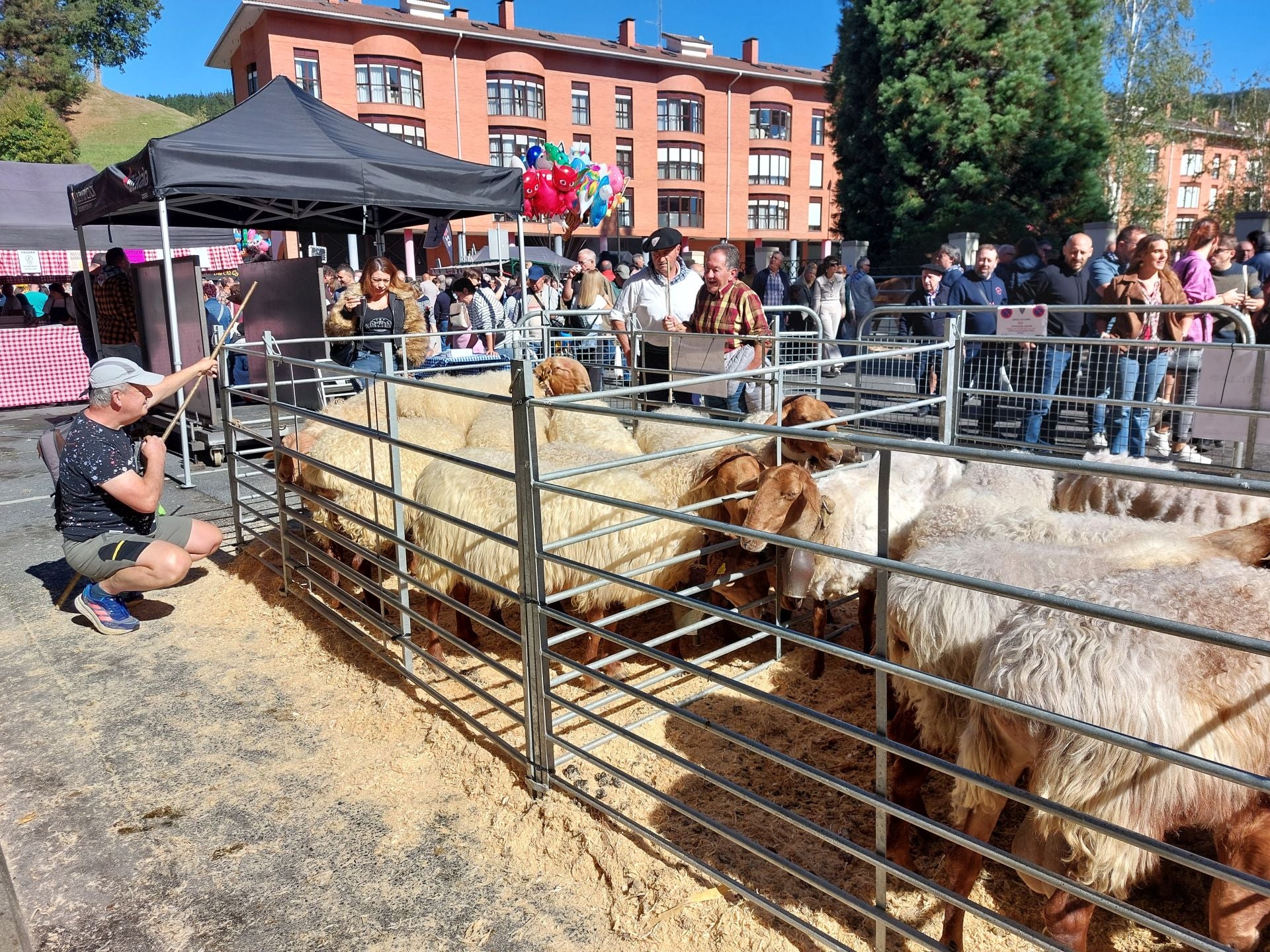 El Día de Gangas 2025 de Zalla en imágenes