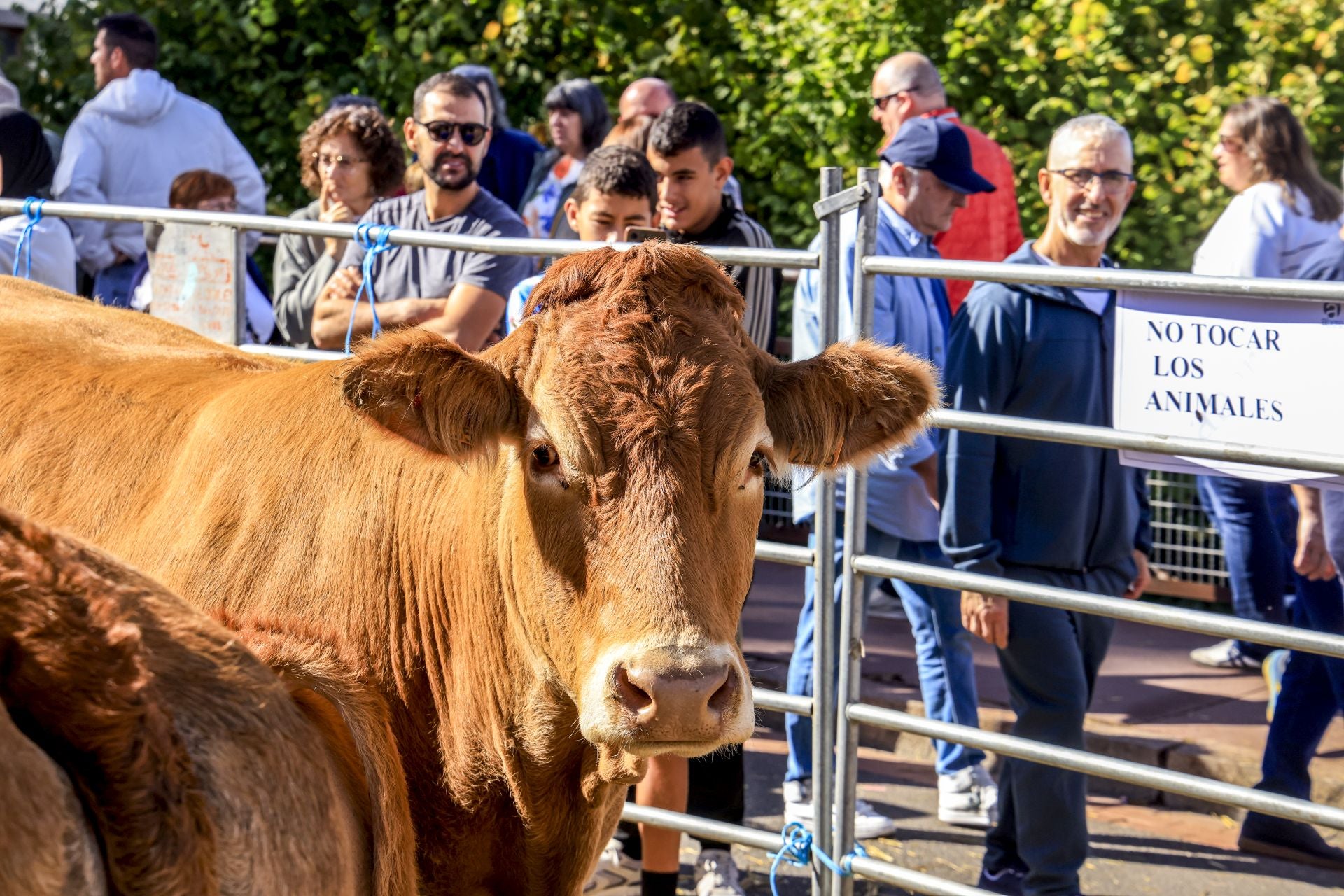 La Feria de Agurain en imágenes