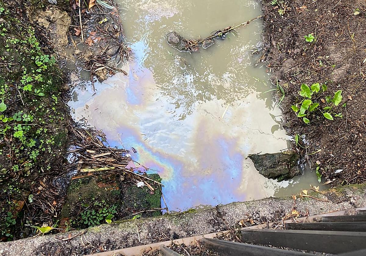 Técnicos analizan los vertidos y la muerte de un ave en el Gobela.