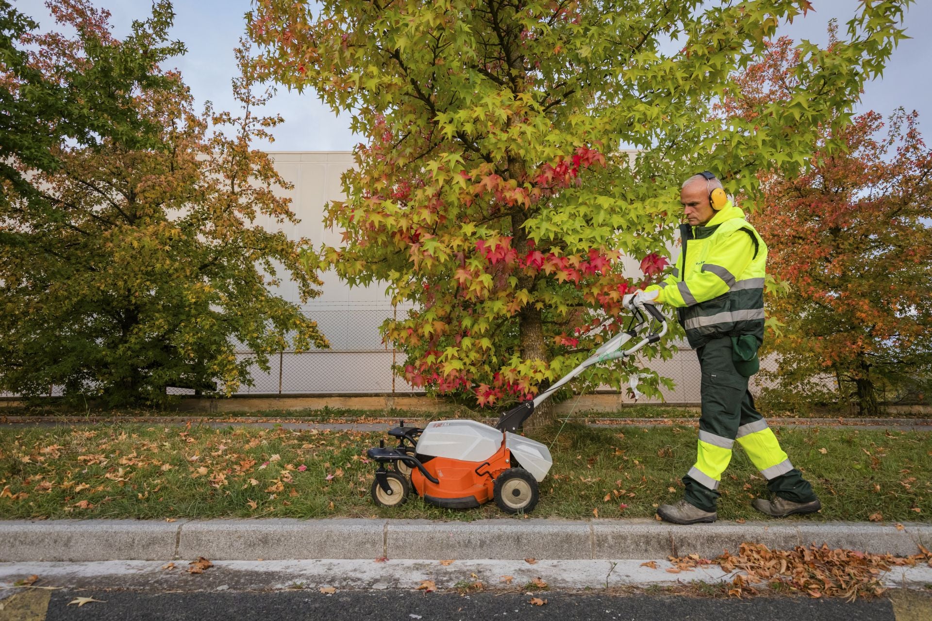 Las imágenes de la vuelta al trabajo de los jardineros de Vitoria