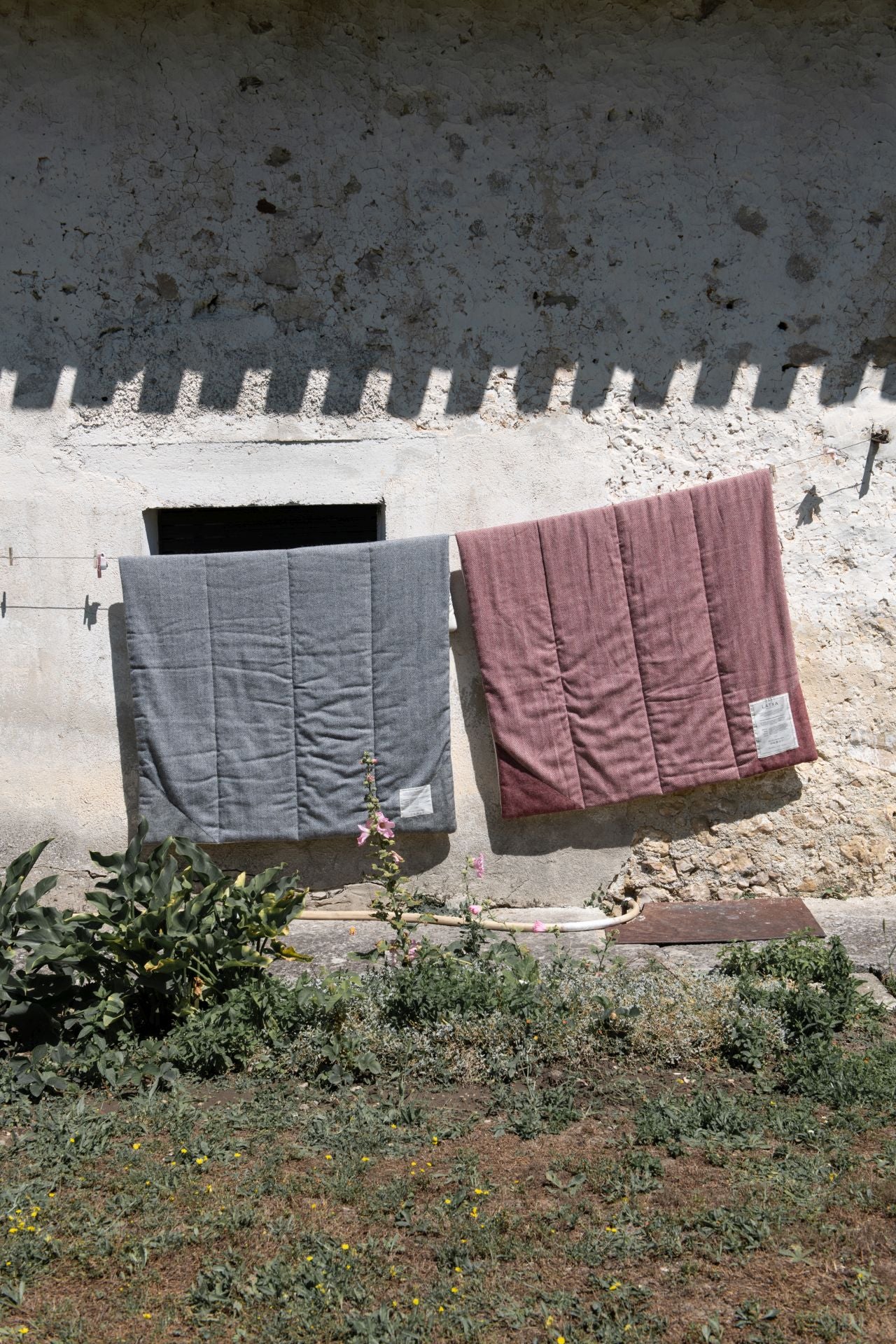 La lana de las ovejas latxas se transforma en colchas, cojines y manteles con alma vasca