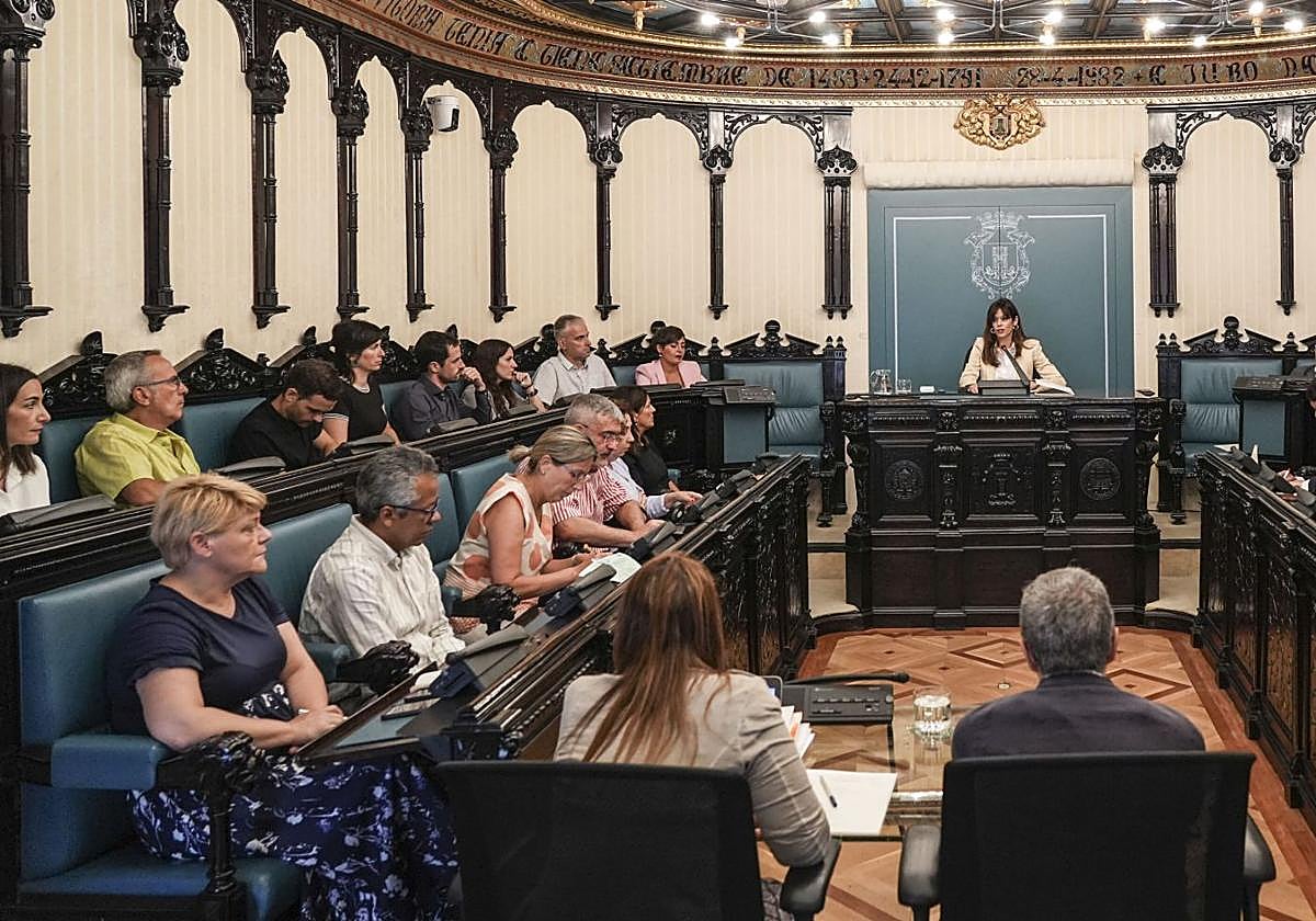 Etxebarria, al fondo, y la bancada del PNV y EH Bildu en el pleno.