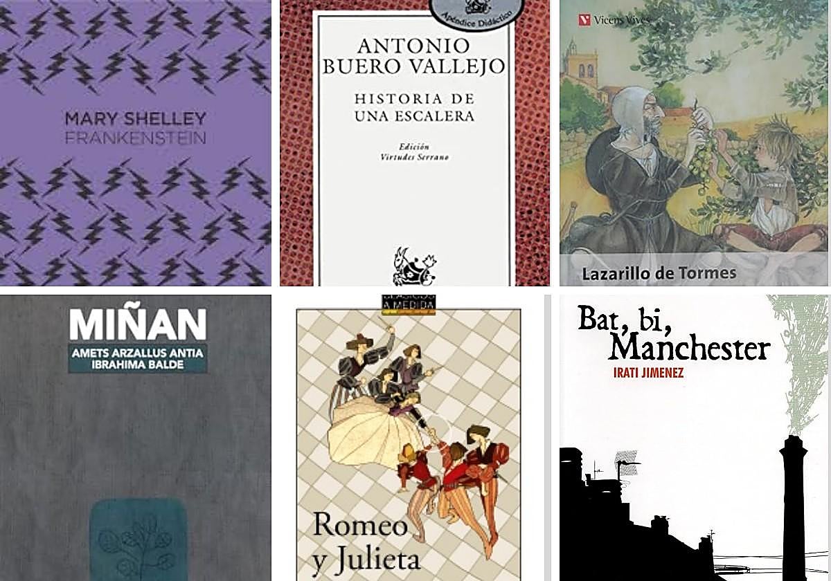 ¿Qué libros se leen en los colegios vascos?