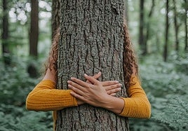 Zuhaitzari begira, basoa ahaztu