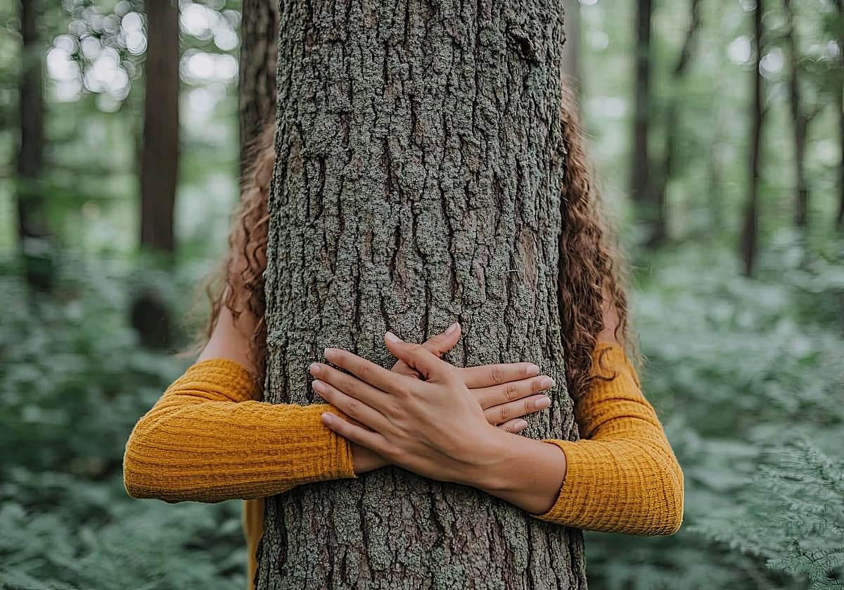 Zuhaitzari begira, basoa ahaztu
