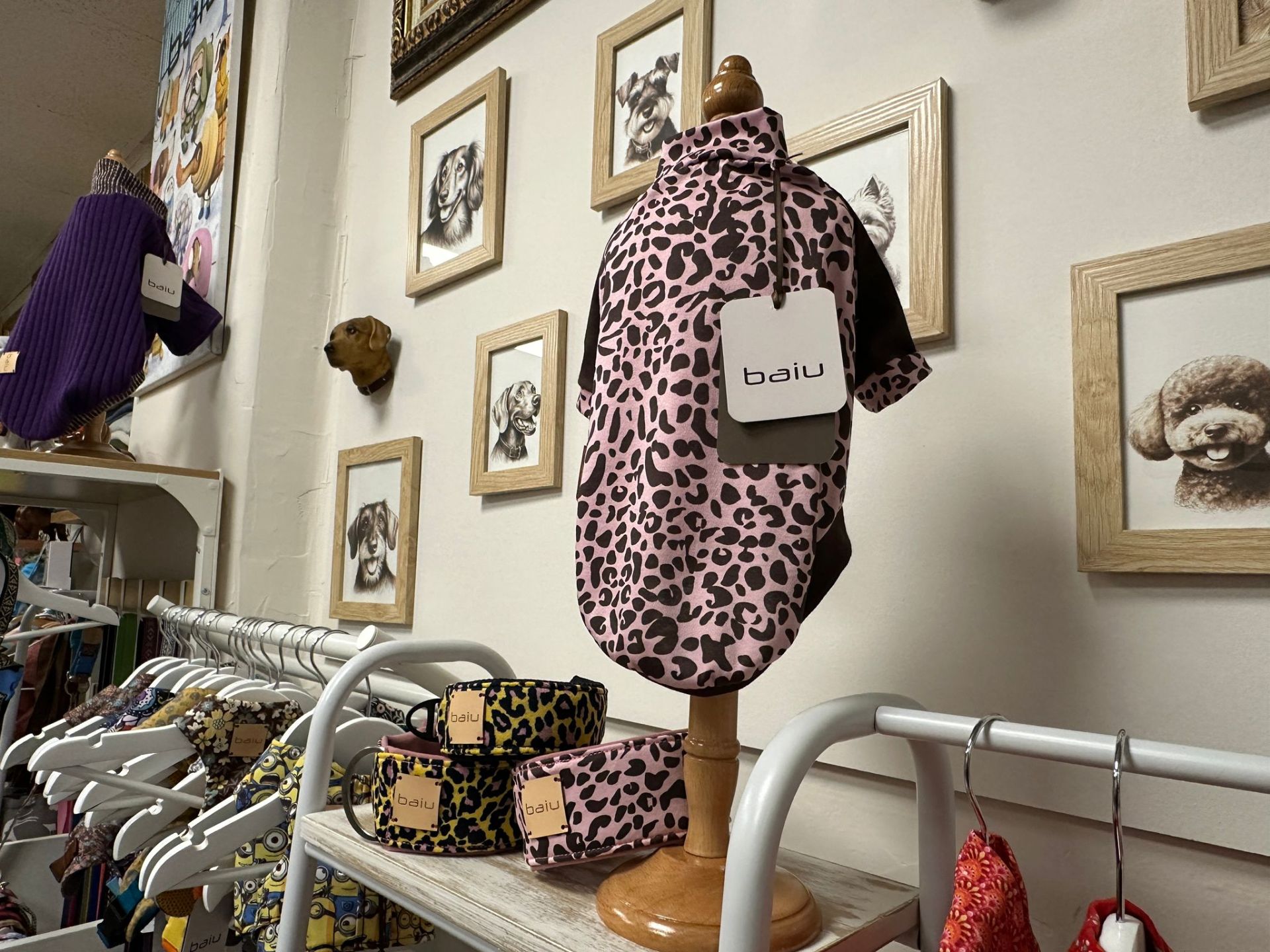 Marta, la sastre de los perros más elegantes de Bilbao: «Les tomo las medidas… ¡y hay premio!»