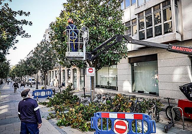 El desbroce de los árboles ha comenzado a la altura de la calle Manuel Iradier.
