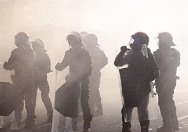 Agentes antidisturbios de la Ertzaintza, durante las manifestaciones propalestinas del miércoles en Vitoria.