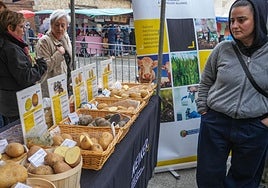 Una de los puntos fuertes del evento es la posibilidad de conocer las diferentes variedades de mano de expertos.